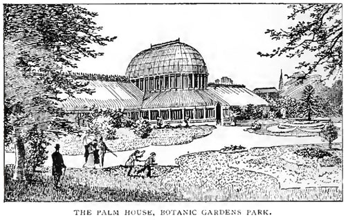 The Palm House. Botanic Gardens Park