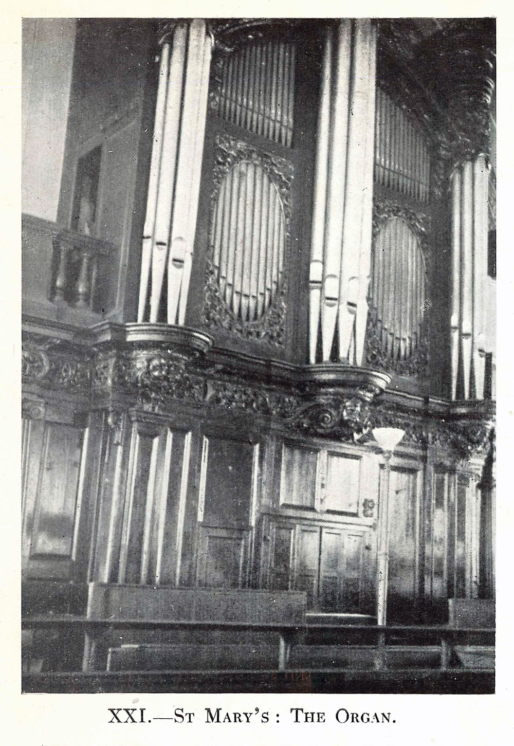 XXI-St-Marys-The-Organ