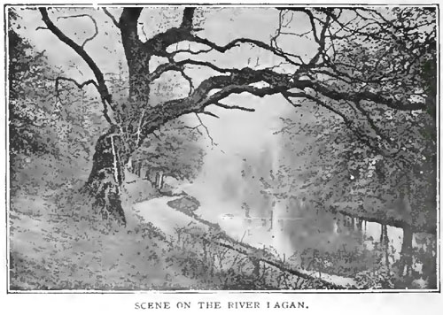 Scene on the River Lagan