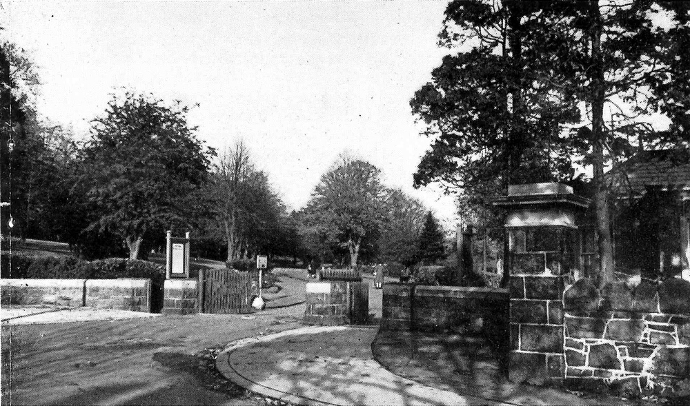 Wallace Park, Lisburn, 1952