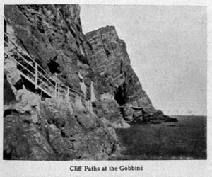 Cliff Paths at the Gobbins