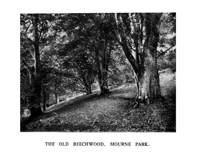 The Old Beechwood, Mourne Park