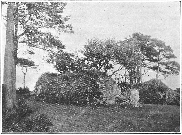 The O'Neill Castle (Iveagh) At Seafin